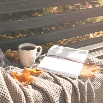 Alle tien zijn ze jaloers