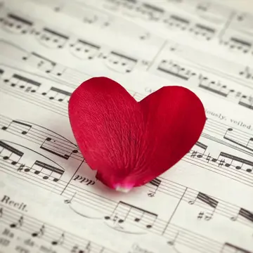 Als een liefdeslied
