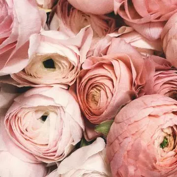 Ik heb je bij je naam geroepen