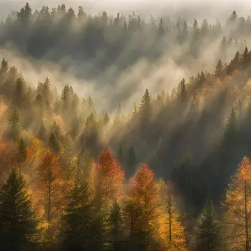 Een veilige God in een onveilige aardse realiteit