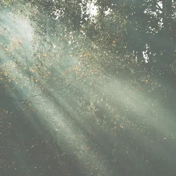 Verlicht mijn ogen